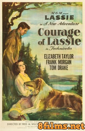 Храбрость Лесси (1946) смотреть онлайн