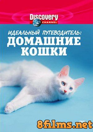 Идеальный путеводитель: Домашние кошки (1999) смотреть онлайн