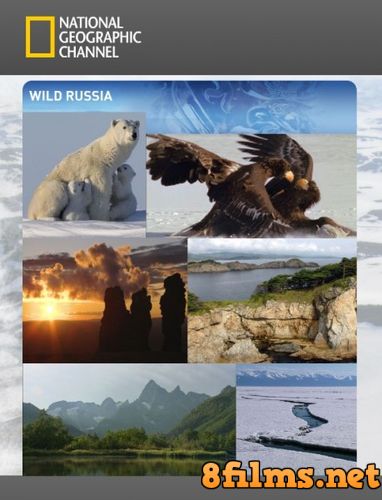 Дикая природа России (2008) смотреть онлайн
