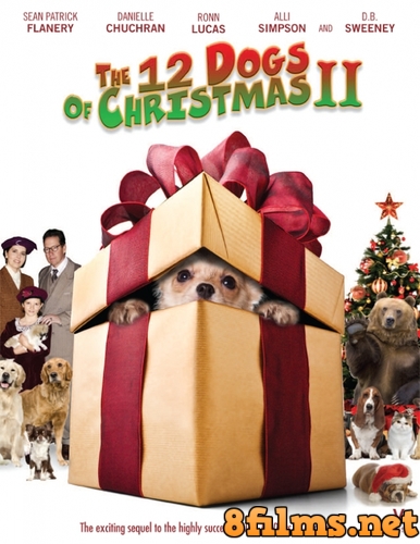 12 рождественских собак 2 (2012) смотреть онлайн