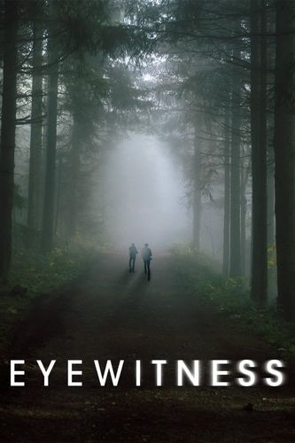 Свидетели (2016) смотреть онлайн