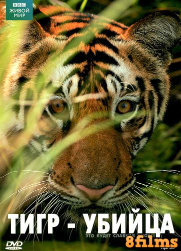 Живой мир. Тигр - убийца (2007) смотреть онлайн
