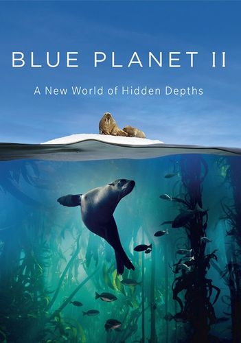 Голубая планета (2017) 2 сезон смотреть онлайн