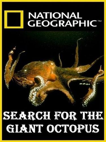 В поисках гигантского осьминога (2009) смотреть онлайн