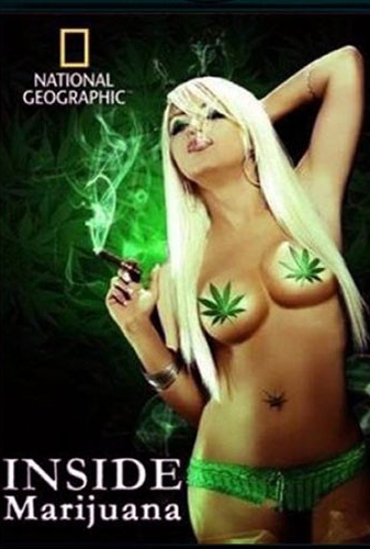 Супер трава марихуана (2009) смотреть онлайн