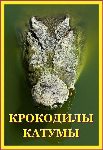 Крокодилы Катумы (2010) смотреть онлайн