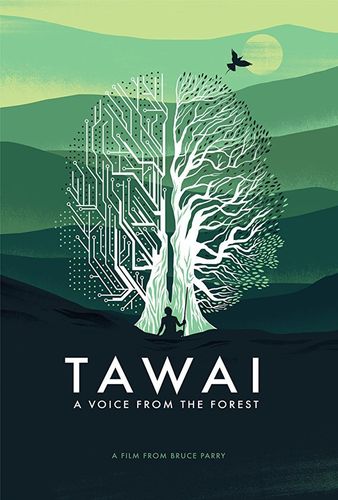 Таваи: голос, идущий из леса (2017) смотреть онлайн