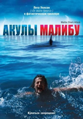 Акулы Малибу (2009) смотреть онлайн