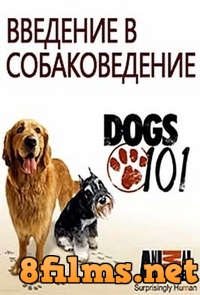 Введение в собаковедение (2008) смотреть онлайн