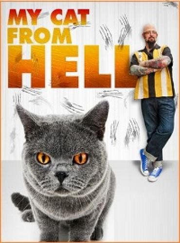 Адская кошка (2012) 3 сезон смотреть онлайн